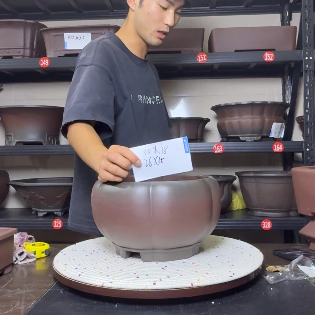 紫砂其他呜呜呜呜
