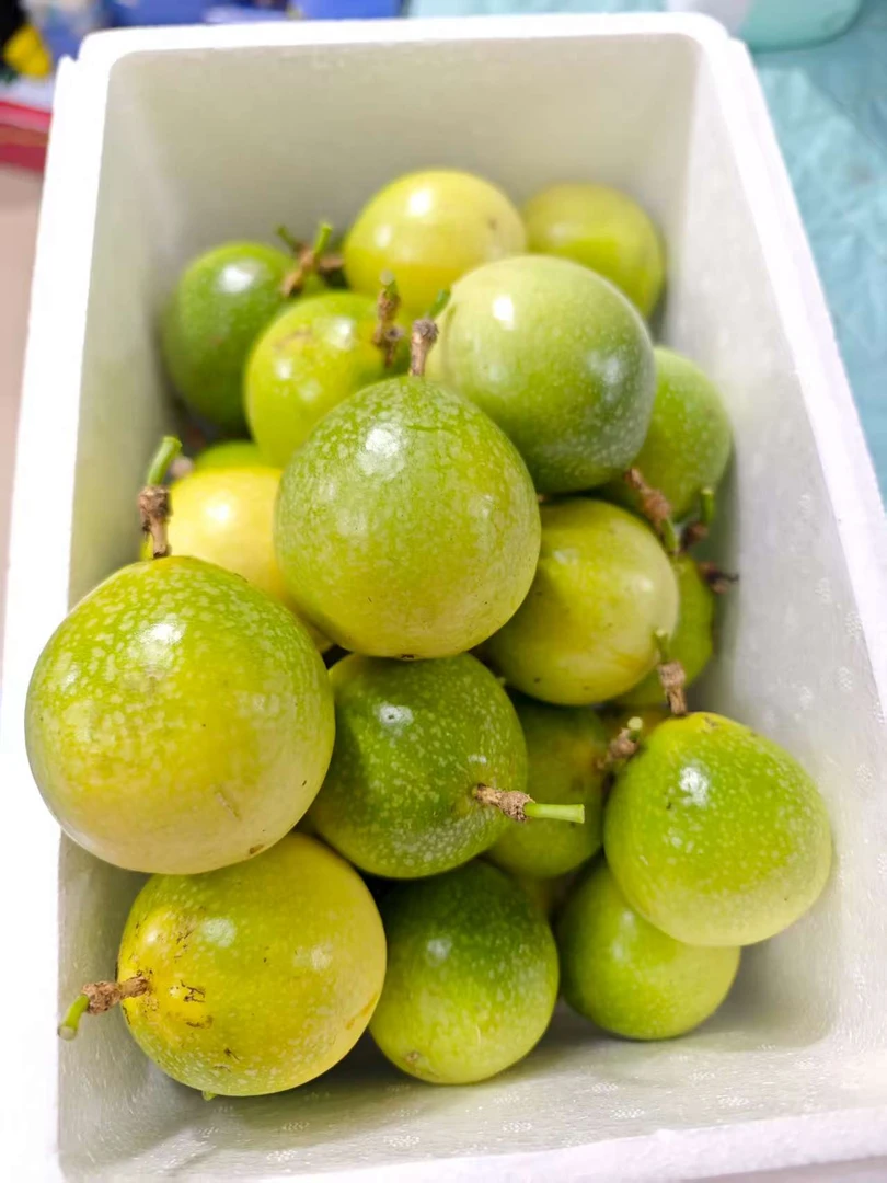 融水县三防镇农家抖音黄金百香果黄百香果新鲜广西黄金果多汁超甜