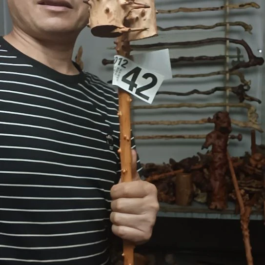 志***节香榧木高山 檬子木文玩料