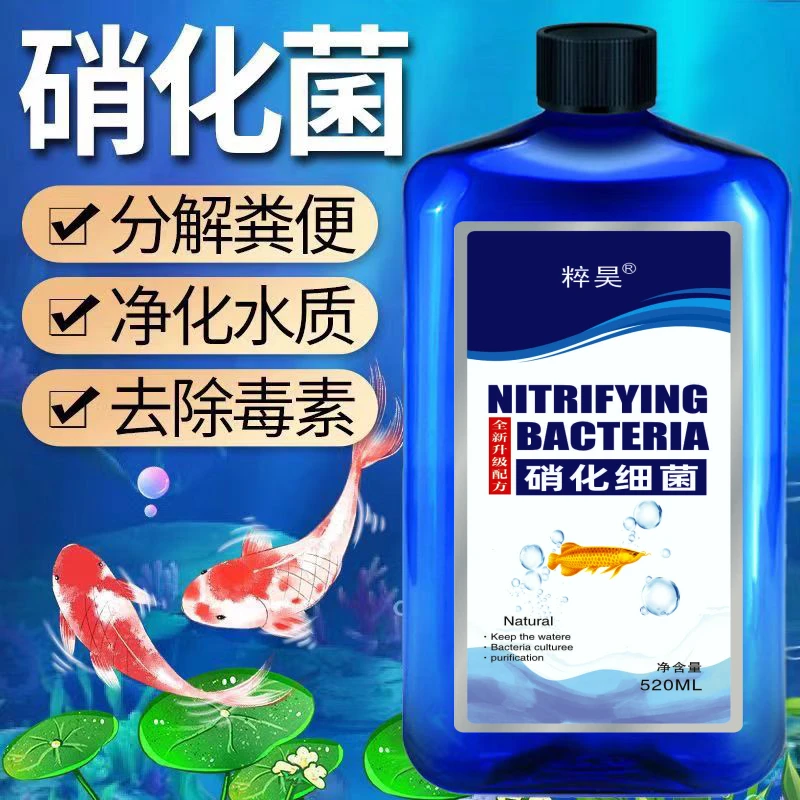 鱼缸净水硝化细菌鱼缸水浑浊鱼缸用品水族用品空气缸硝化活菌养鱼