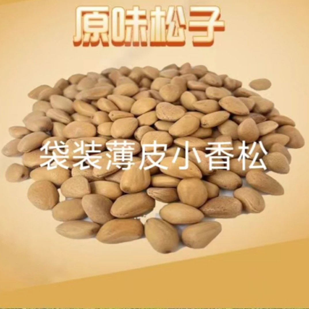 天水薄壳松子2024新货开口小松子坚果干果孕妇零食批发松子