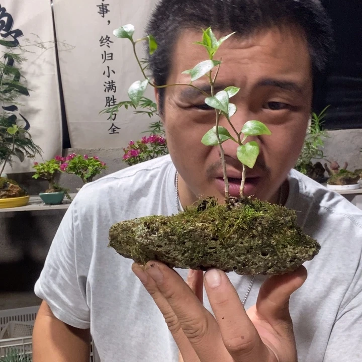 用***0以实际为准退款拉黑拉黑97