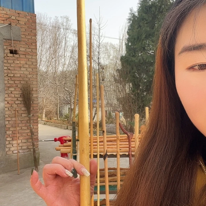 南***侠连翘木165-2.1-1.7
