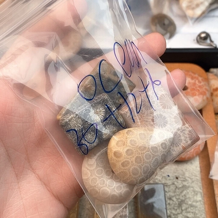 硅化玉颈饰未镶嵌O****珊