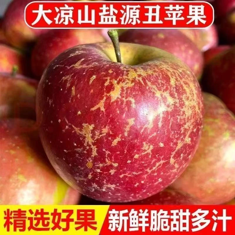 【果农自卖】四川大凉山丑苹果富士苹果脆甜多汁新鲜水果现摘低脂