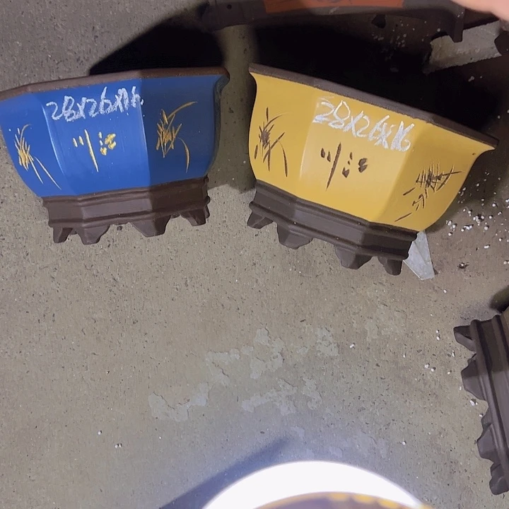 周深周深周深周深