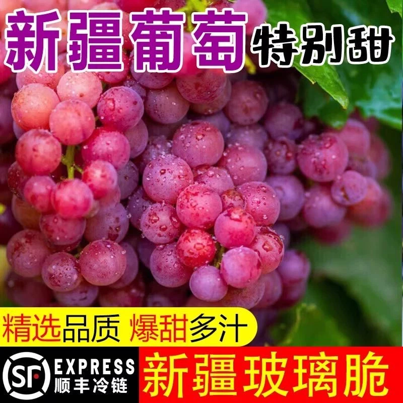 【顺丰冷链】正宗新疆吐鲁番无核玻璃翠鲜葡萄孕妇水果脆甜香味浓