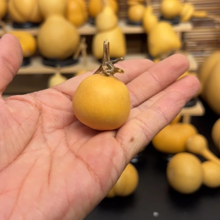 人****^23666999993699999