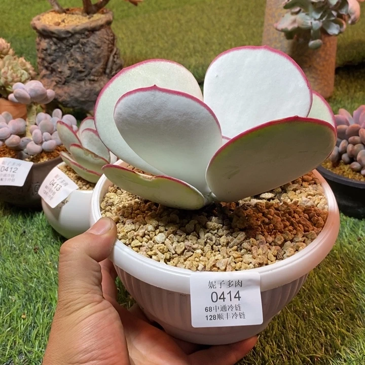 0414啊啊啊啊啊啊啊啊啊啊啊啊啊