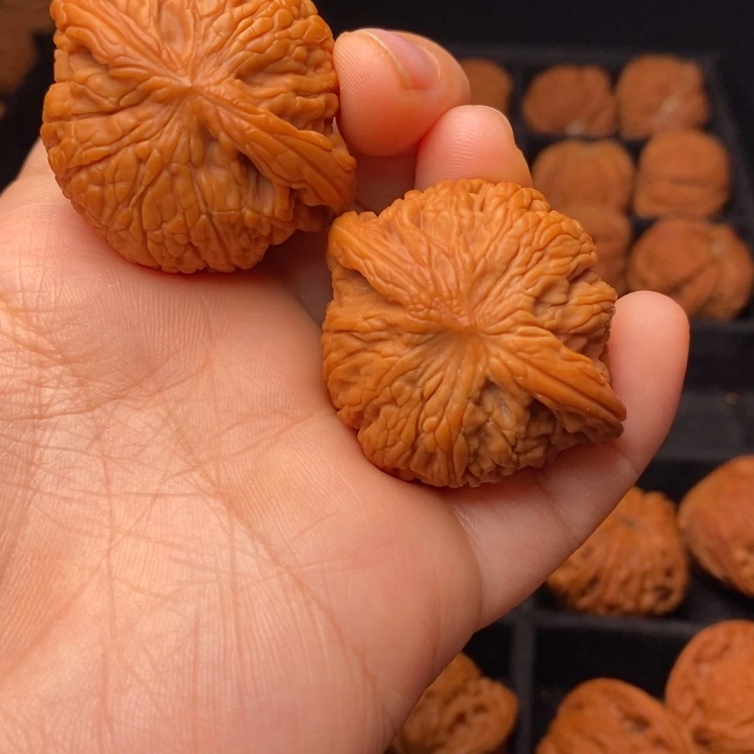 文玩核桃把件秦岭野生核桃