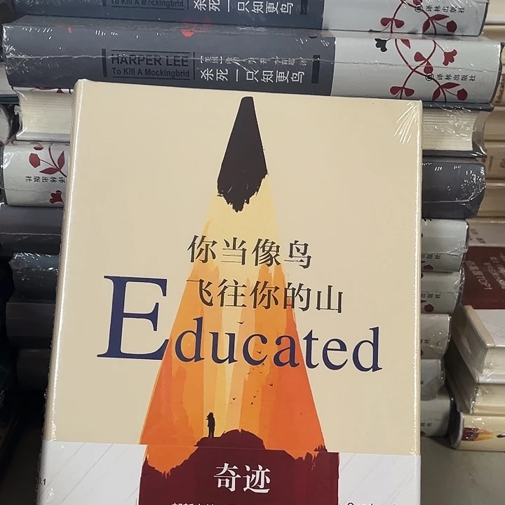 你当像鸟飞往你的山精装