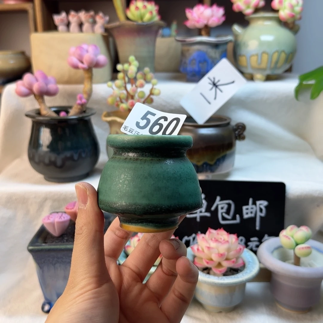 M***敏560。内口4cm。非偏远两单包邮