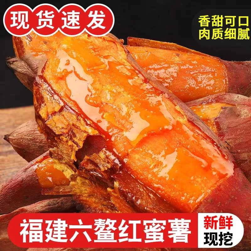 【软糯香甜】福建六鳌蜜薯现挖红薯糖心地瓜板栗番薯蔬菜沙地蜜薯
