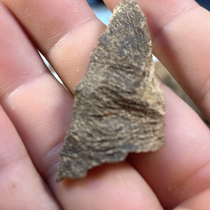 沉香碎屑沉香海南沉香碎料发0.8克