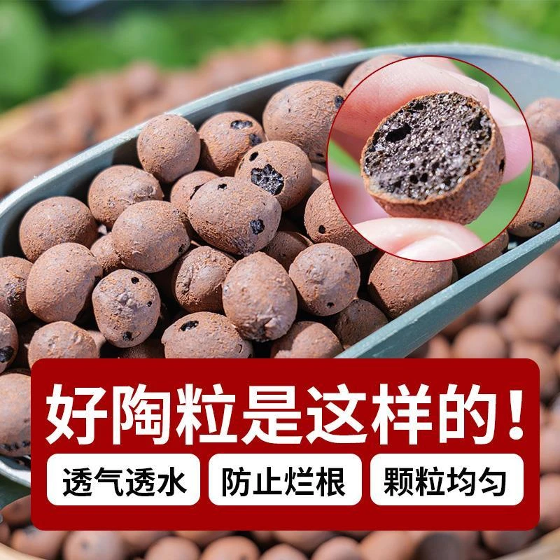 园艺养花专用陶粒可用于花盆垫底铺面透气防烂根适合多肉绿植通用