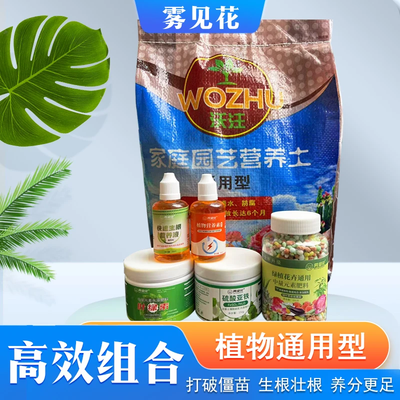 【拍一发六】鑫点雾见花厂家直销通用行组合套装肥料绿植花卉控释肥