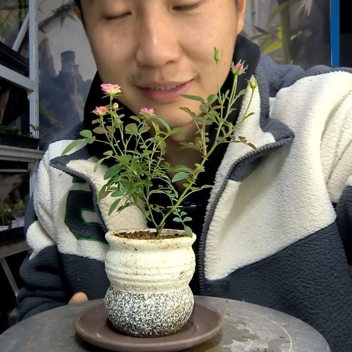 多*中青园艺一物一拍155