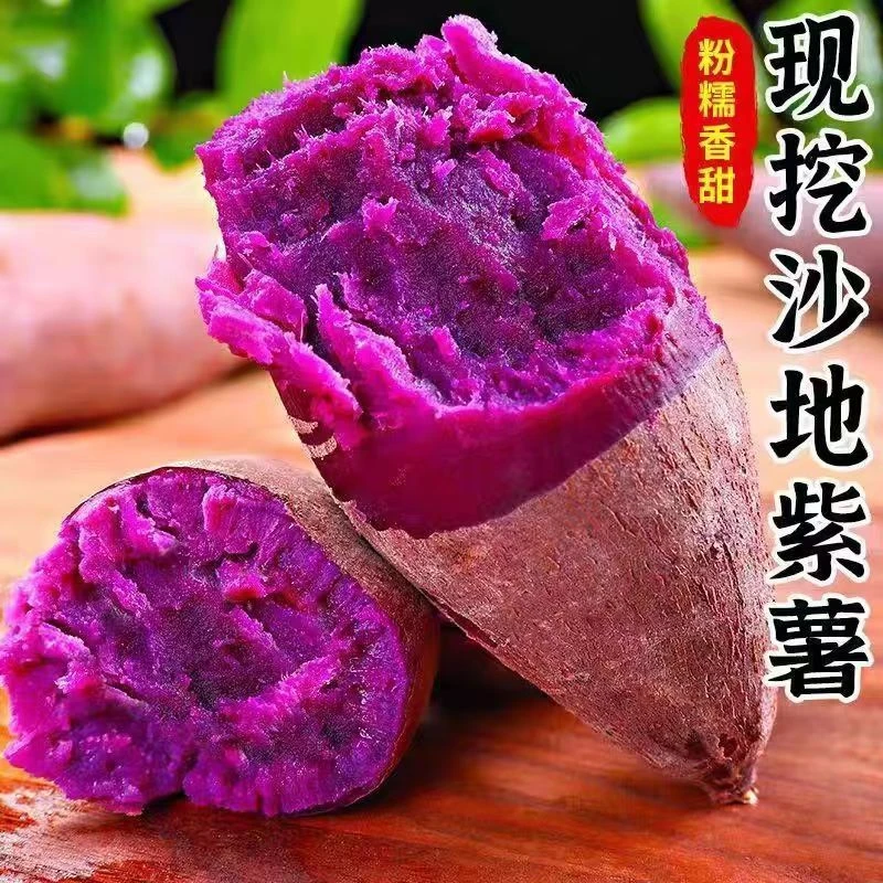 正宗沙地紫罗兰紫薯新鲜现挖番薯香甜红薯A