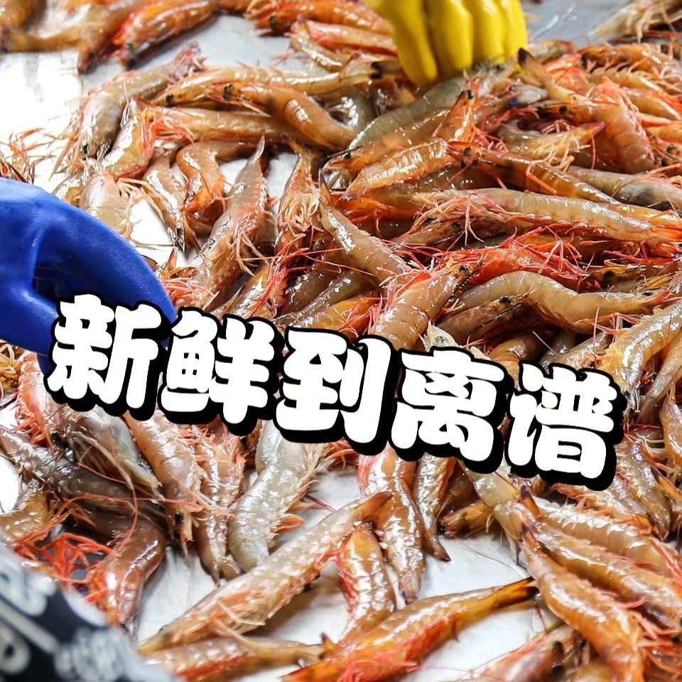 【北部湾海域】海捕纯野生麻虾沙卢虾剑虾顺丰包邮