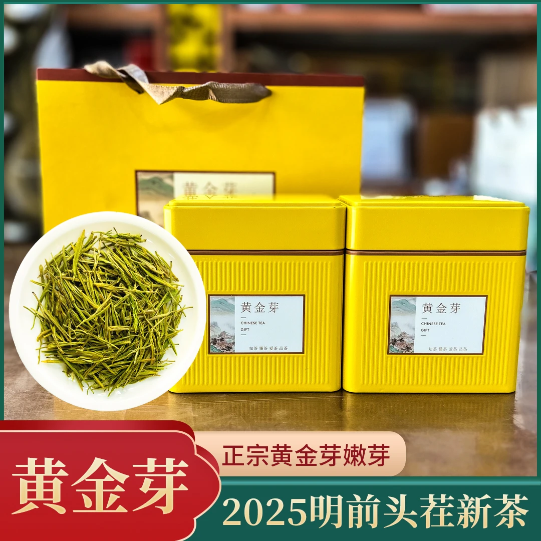 2025年新茶安吉原产黄金芽高山早春罐装鲜嫩浓香好茶黄金芽  150g