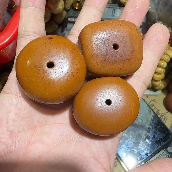 橘皮扣子多样性发其一