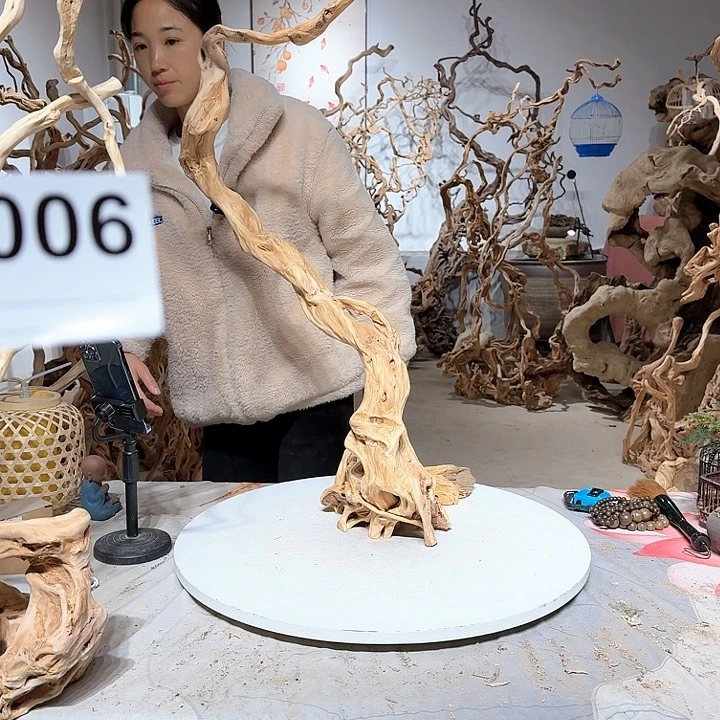 风车木（黑檀木）梅*