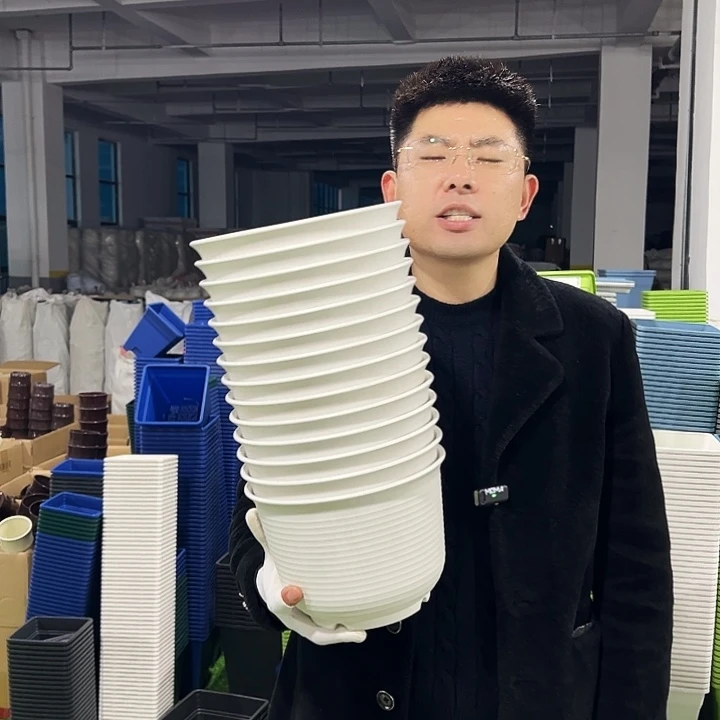 正品矮陶口21高15白色8只无托