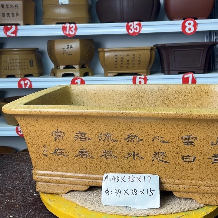 花盆紫砂你在一起