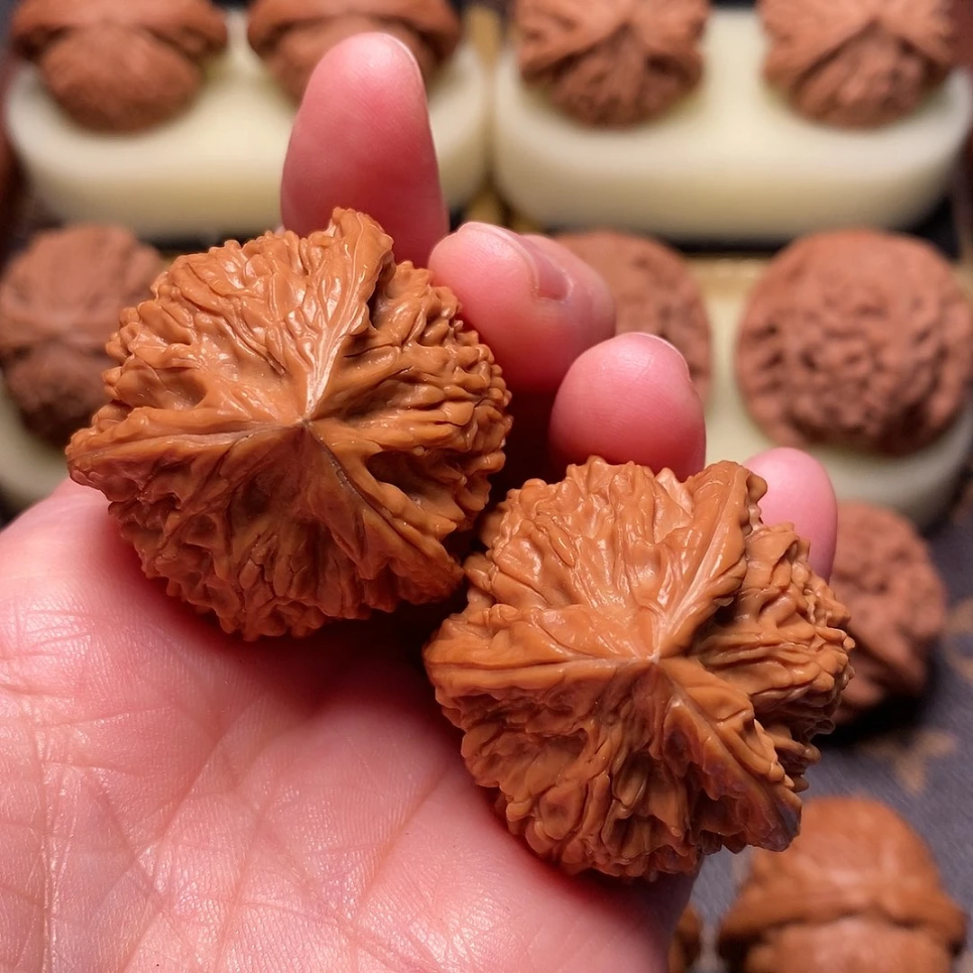 桃核把件S***n御龙粗筋奔38