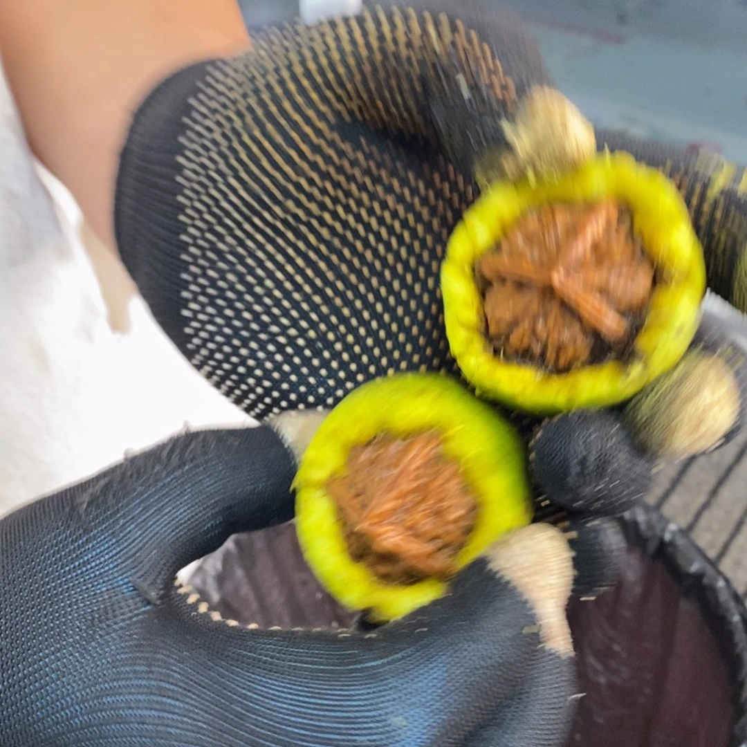 罗***兴吊坠文玩核桃玉溪三棱