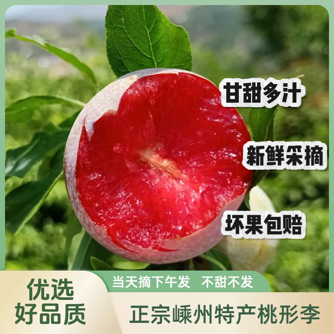 正宗嵊州特产李子果香直发新鲜红心酸甜可口多汁坏果包赔桃形李