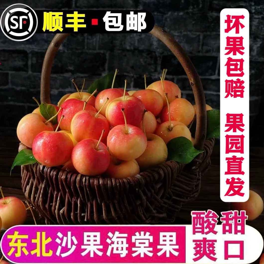 【热卖】顺丰发货正宗东北老品种黄太平沙果新鲜水果非鸡心果