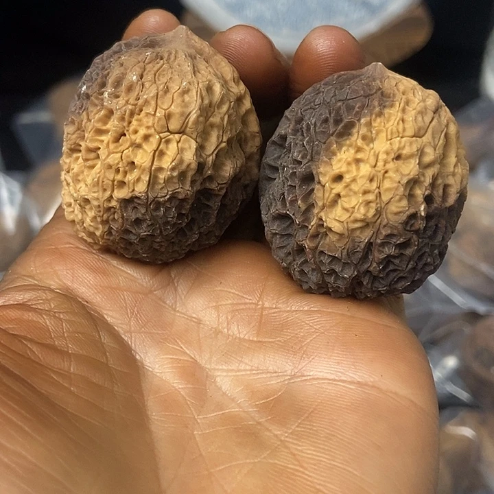 把件文玩核桃云南铁核桃基地83