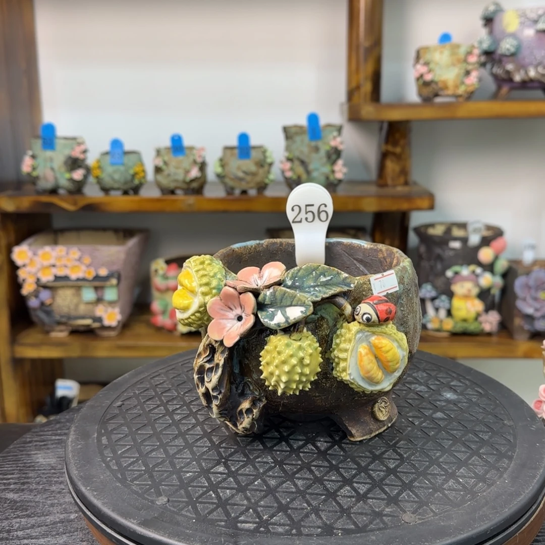 口径11.5左右、外高11左右.