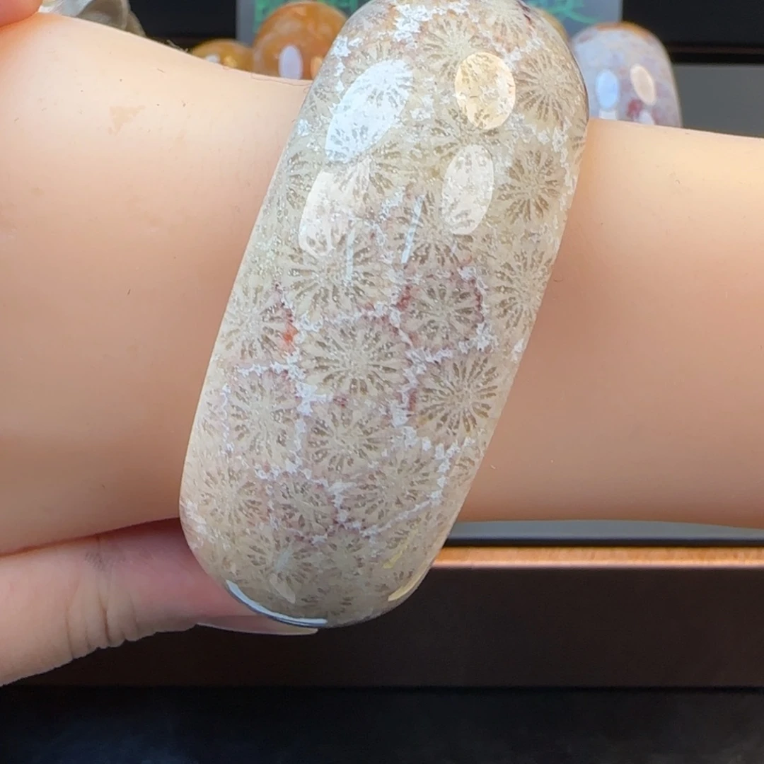 硅化珊瑚（珊瑚玉）未镶嵌手镯56-58圈300