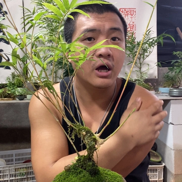 释***超无花朵退款拉黑拉黑260