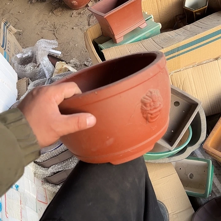 在干嘛的我还以为自己没看完这篇论文我看着看书去呀