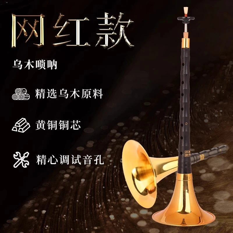 【宏艺凤鸣】网红款乌木唢呐乐器初学者专业演奏型唢呐全调喇叭