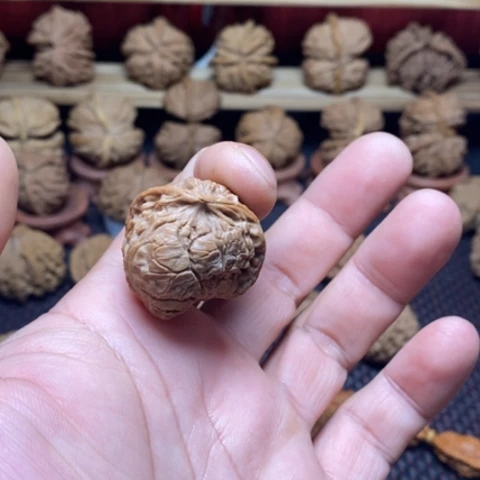 善***慧把件文玩核桃核桃