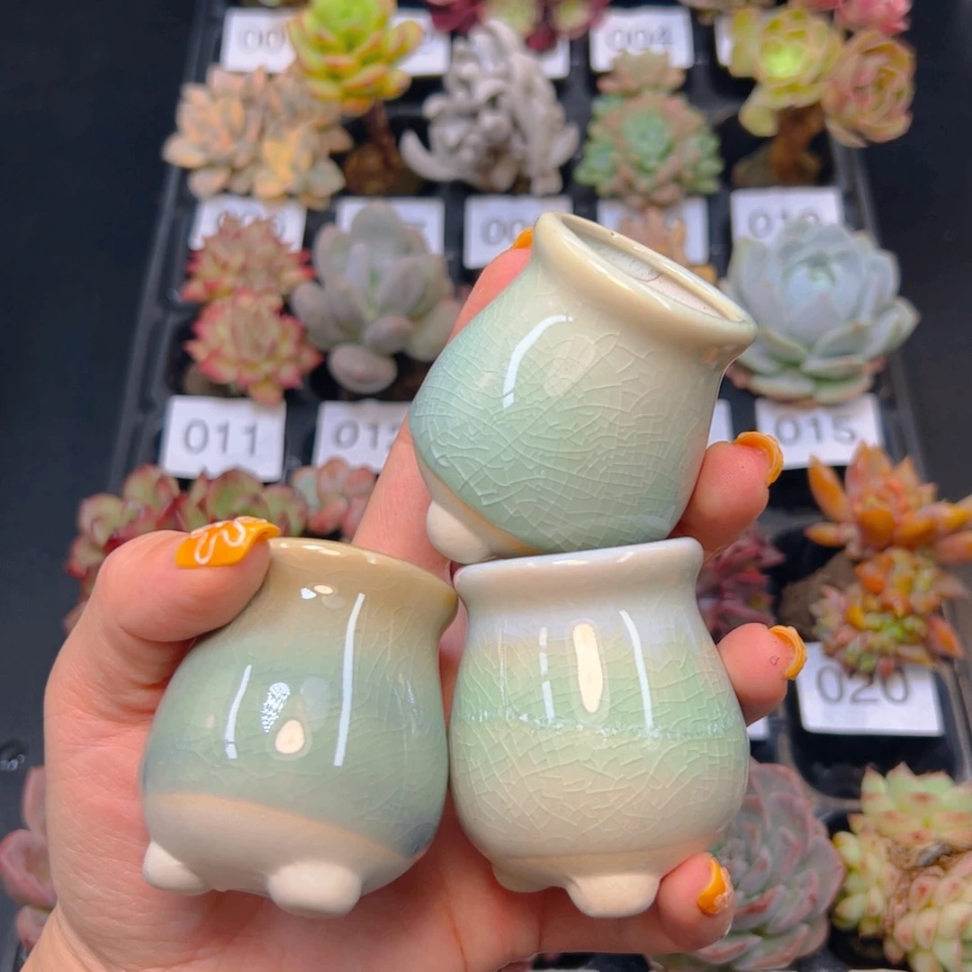 小高腰拇指盆一个，颜色随机不含多肉，全店三单包邮