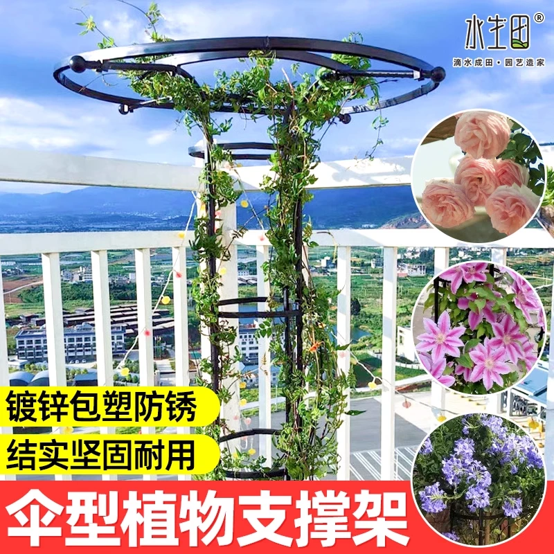 伞形爬藤花支架蟹爪兰专用花架阳台植物支架种菜爬藤架杆户外架子