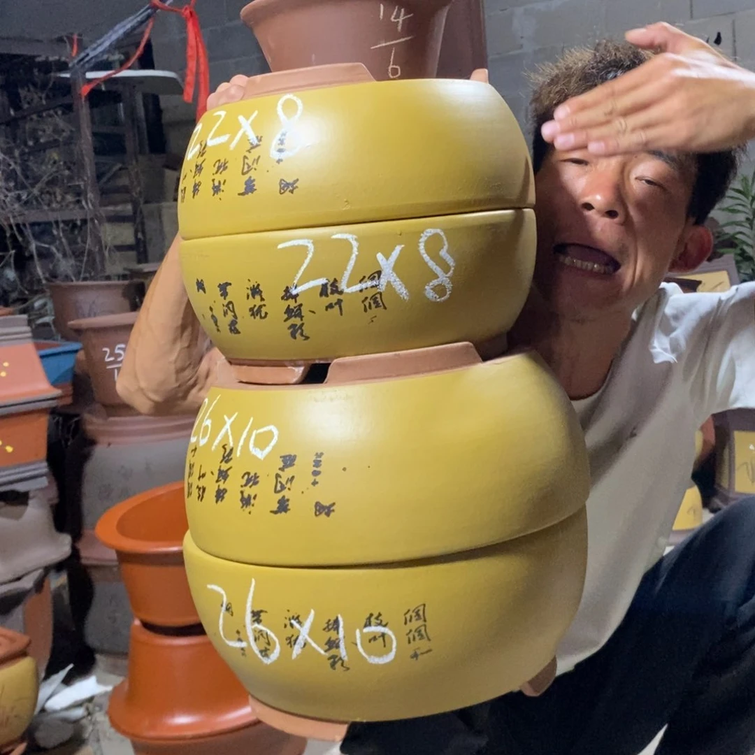 紫砂花盆紫砂紫砂紫砂紫砂