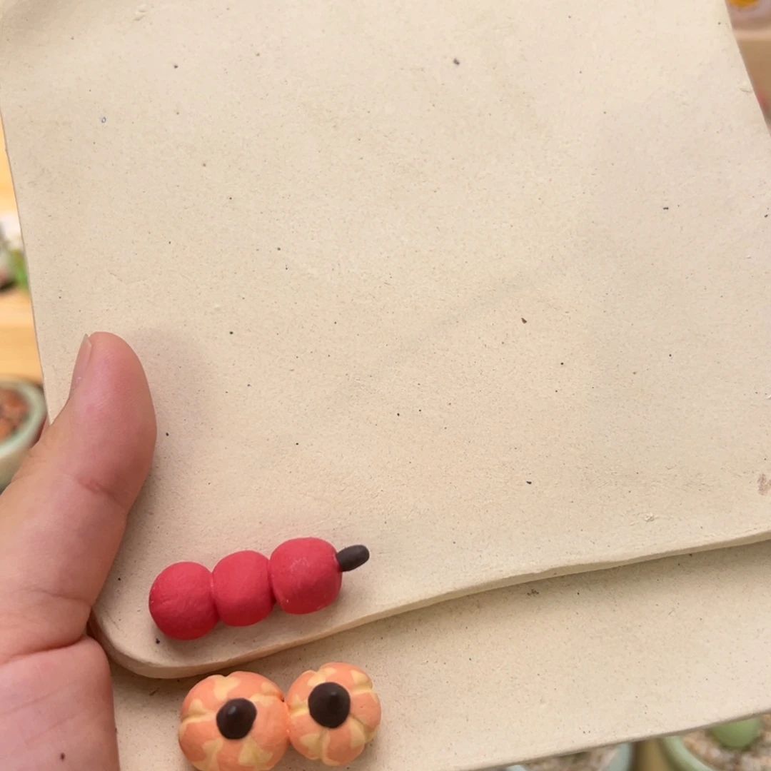 寧***-多肉植物78号两个托盘