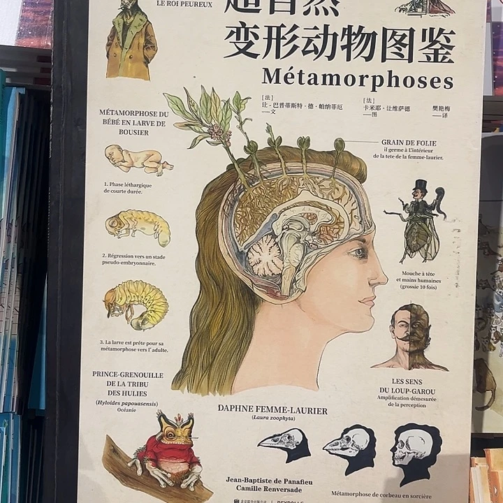 未读系列微瑕。超自然变形动物图鉴