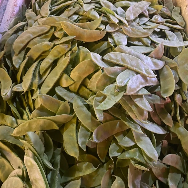 【顺丰包邮】本地扁豆江西小炒甄选老品种农家自种新鲜现摘发货