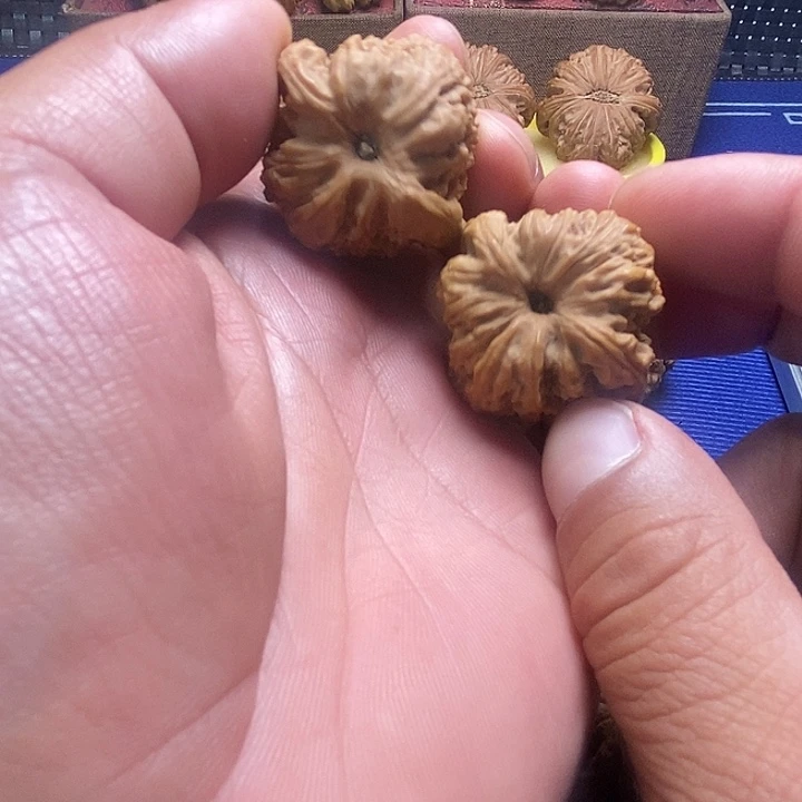 34尺凹的小南疆开播福利价