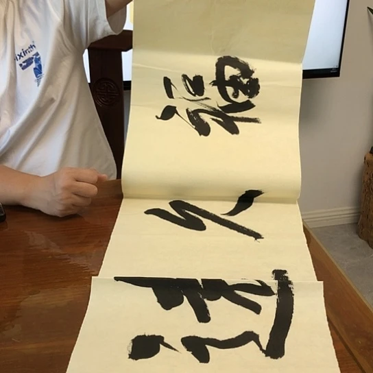 书法杨永久4平尺作品