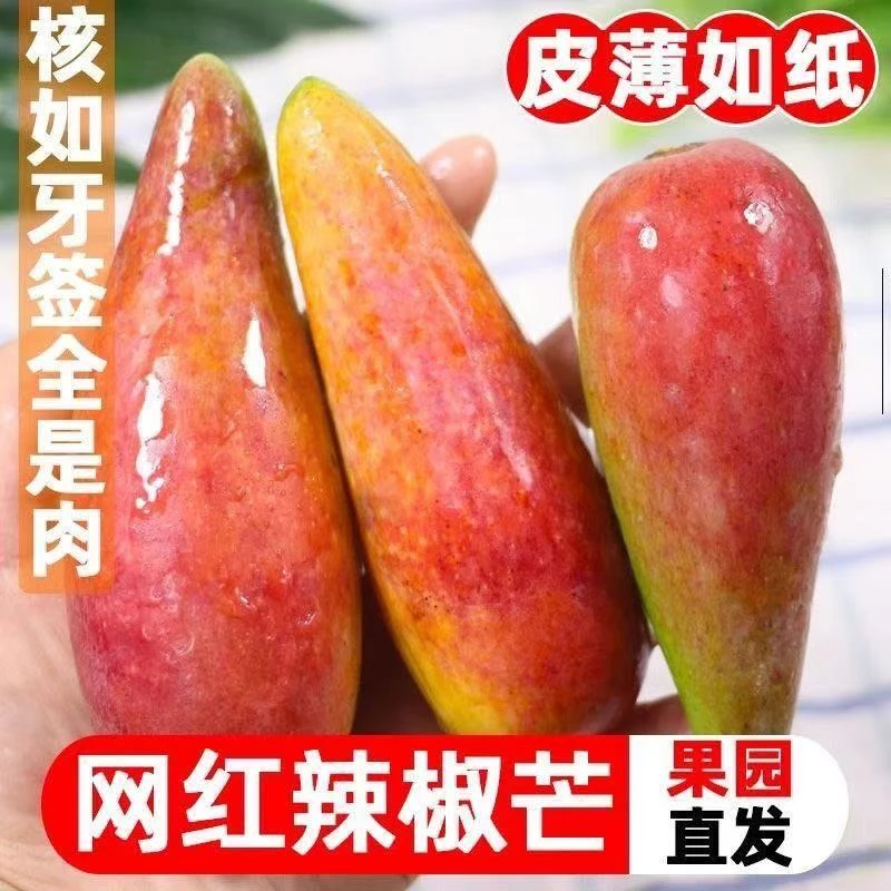 正宗广西辣椒芒牙签芒新鲜应季水果热带水果贵妃催熟食用整箱包邮