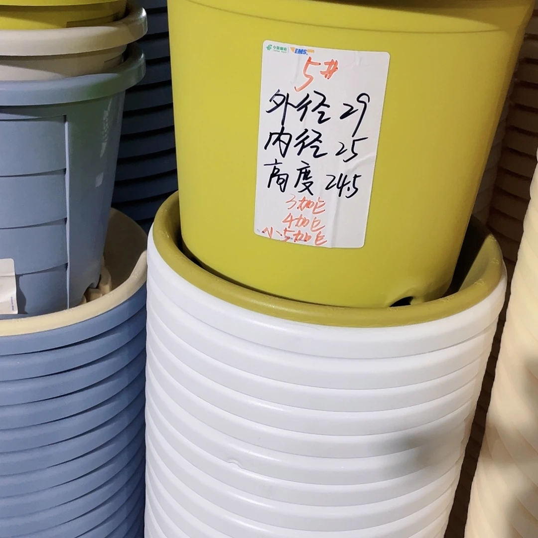 四季微瑕5号果绿无拖6个