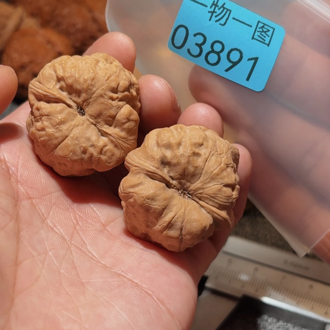 文玩核桃把件古蟾